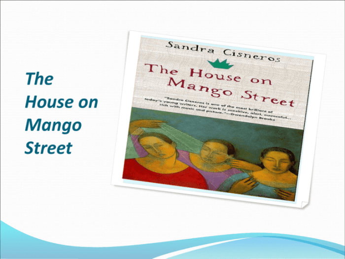 Metaphors in the house on mango street