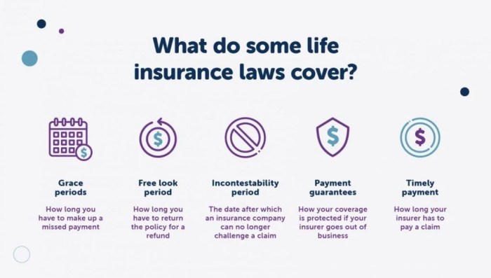 An insured receives an annual life