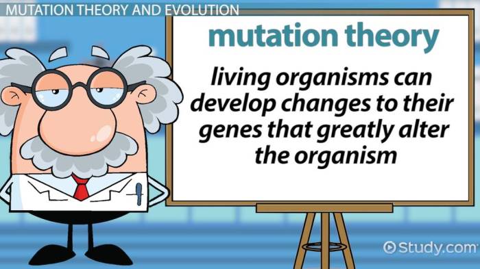 Evolution mutation nation answer key