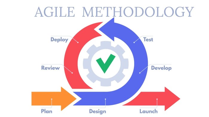 Why do agile teams use iteration goals