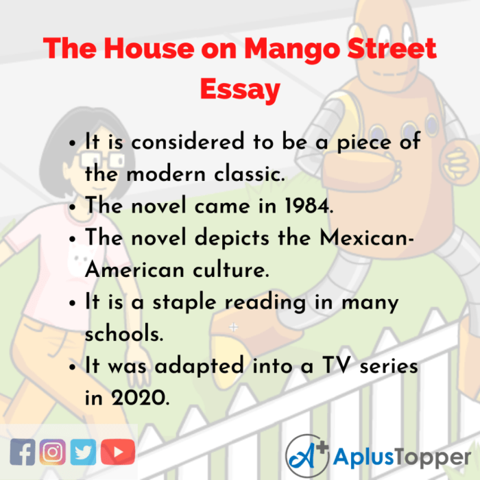 Metaphors in the house on mango street