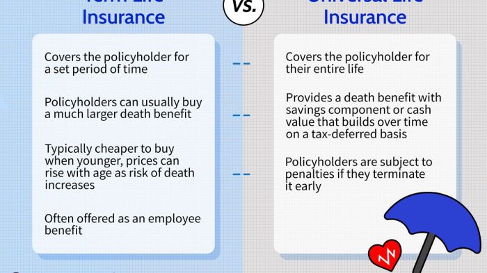 An insured receives an annual life