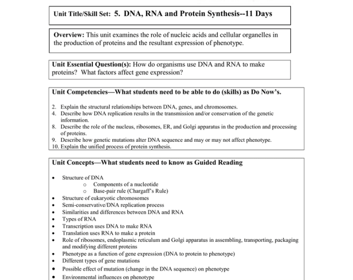 Photosynthesis reading comprehension questions answer key